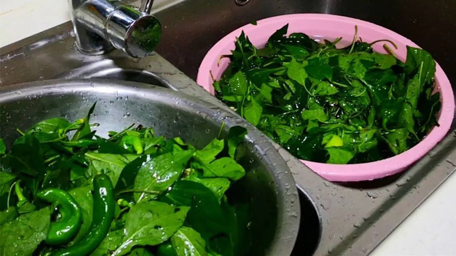 Loại rau bảo bối, cực tốt cho sức khỏe, mọi người thường vứt đi, xào ăn bổ gan, ấm tì vị - Ảnh 3.