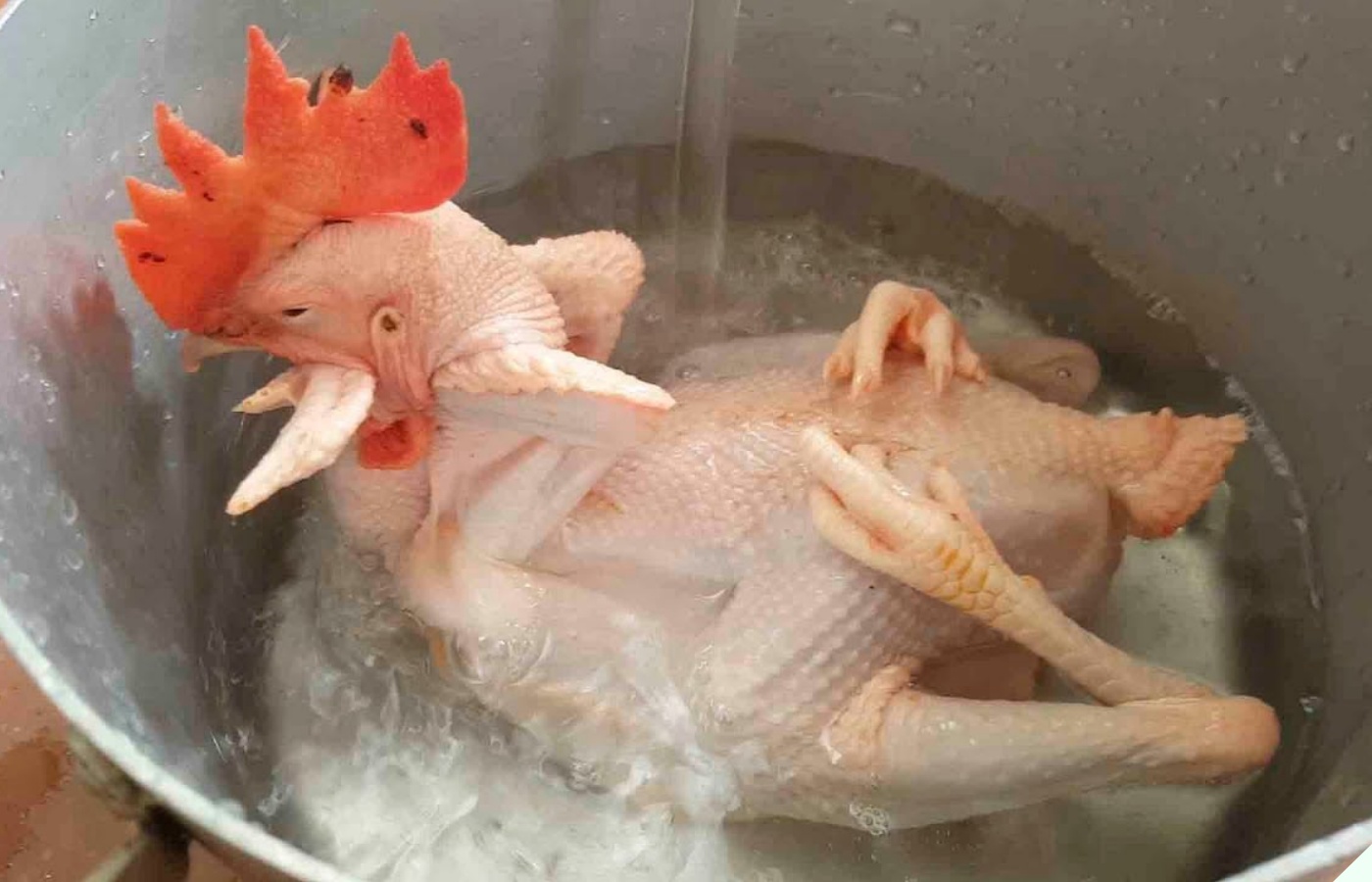 Khi luộc gà chỉ cần thêm 1 thứ này thịt gà thơm, da vàng giòn, đậm vị hơn rất nhiều - Ảnh 7.