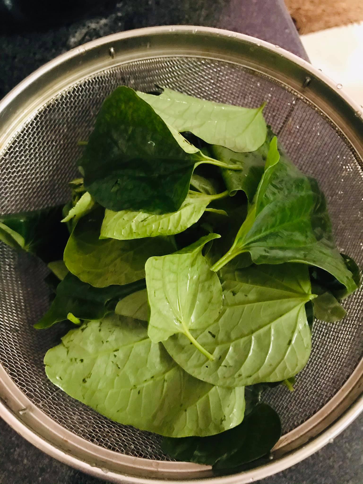 Cá bớp nấu lá lốt vừa ngon vừa bổ - Ảnh 1. Cá bớp nấu lá lốt vừa ngon vừa bổ - Ảnh 1.