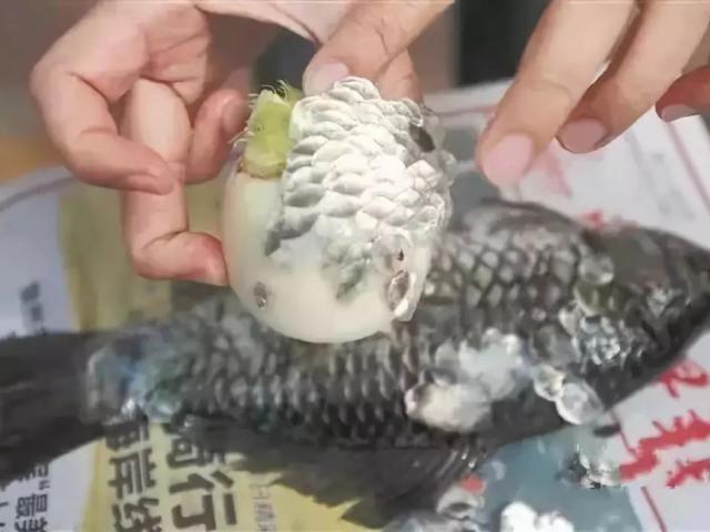 Ai mổ cá cũng vứt thứ này đi, không ngờ là bảo bối giàu dinh dưỡng, nấu món gì cũng ngon - Ảnh 7. Ai mổ cá cũng vứt thứ này đi, không ngờ là bảo bối giàu dinh dưỡng, nấu món gì cũng ngon - Ảnh 7.