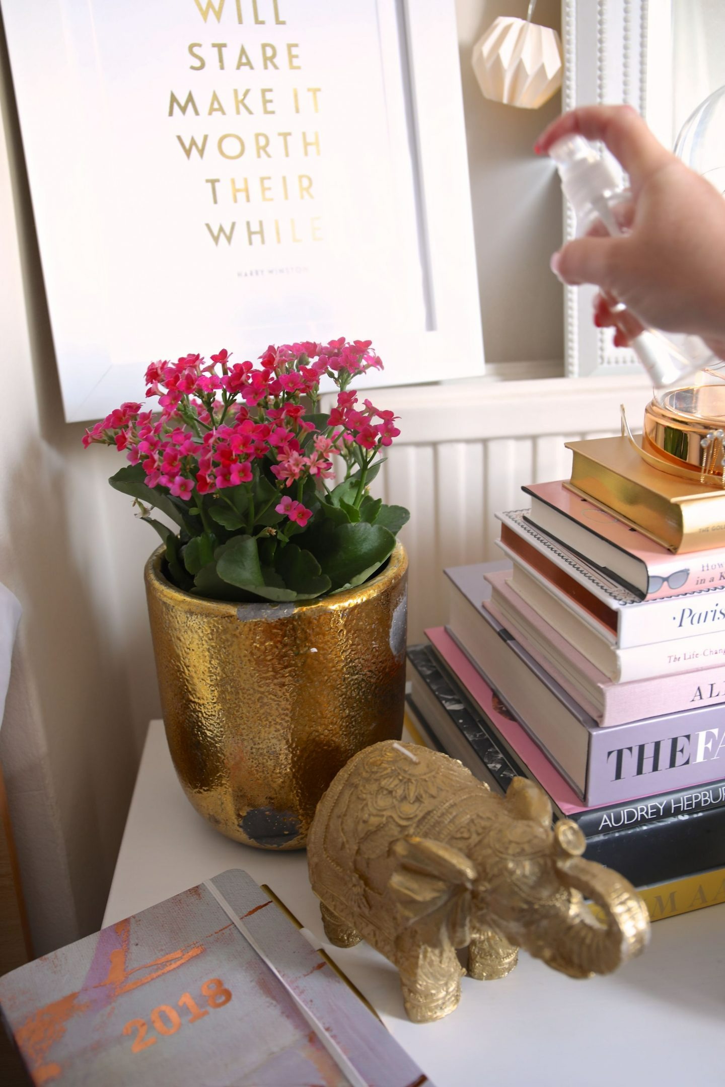 5 cây cảnh "thôi miên", trồng trong phòng ngủ không lo bị tranh oxy, giúp ngủ ngon lại dưỡng người - Ảnh 11.