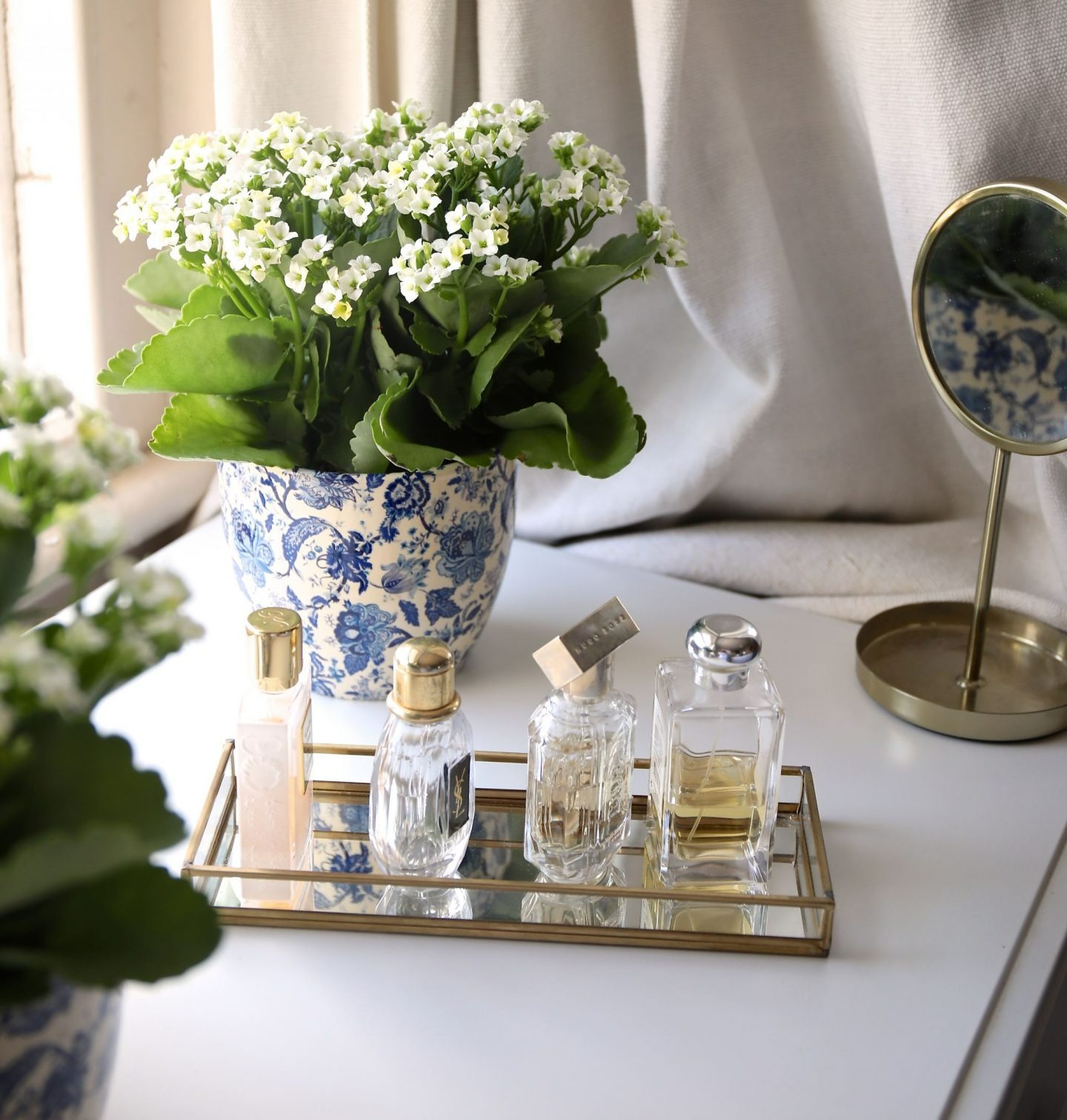 5 cây cảnh "thôi miên", trồng trong phòng ngủ không lo bị tranh oxy, giúp ngủ ngon lại dưỡng người - Ảnh 10.