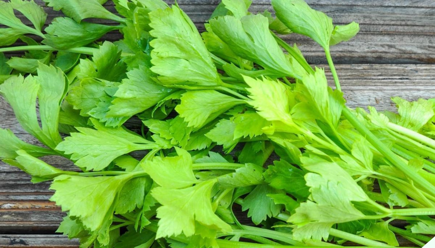 Lá của loại rau này là kẻ thù của ung thư nhưng nhà nào cũng vứt vào thùng rác, nấu lên ăn cực ngon - Ảnh 1.