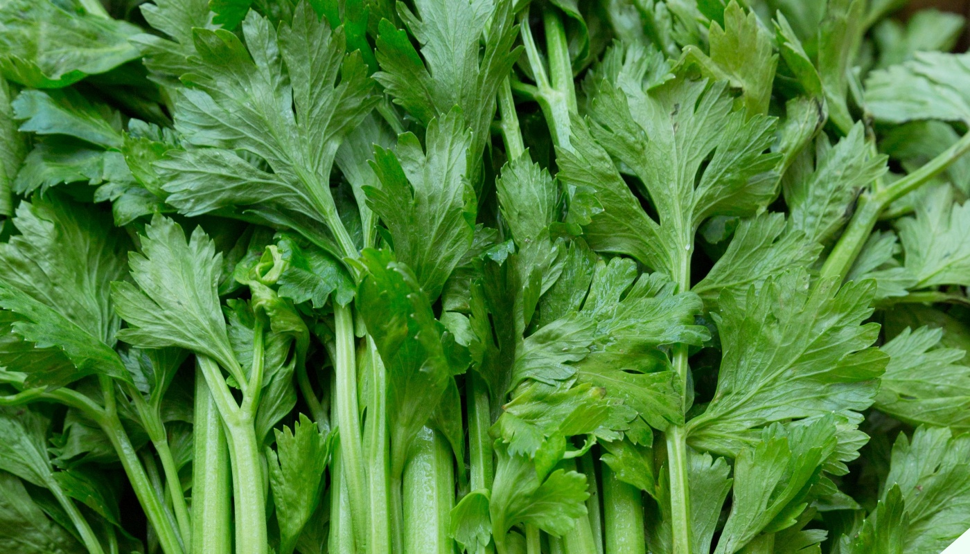Lá của loại rau này là kẻ thù của ung thư nhưng nhà nào cũng vứt vào thùng rác, nấu lên ăn cực ngon - Ảnh 11.