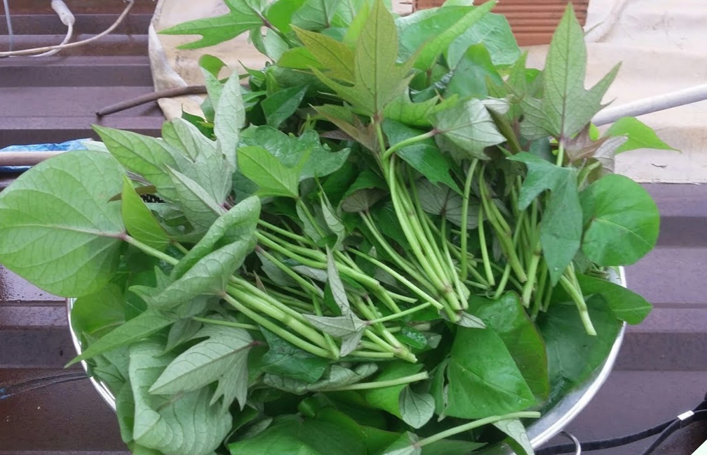 Loại rau là “nhân sâm trường thọ” ở Nhật săn lùng không có mà mua, người Việt giá rẻ lại bán đầy chợ - Ảnh 2.