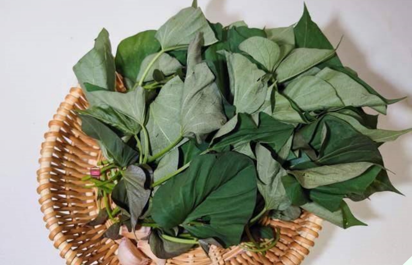 Loại rau là “nhân sâm trường thọ” ở Nhật săn lùng không có mà mua, người Việt giá rẻ lại bán đầy chợ - Ảnh 4.