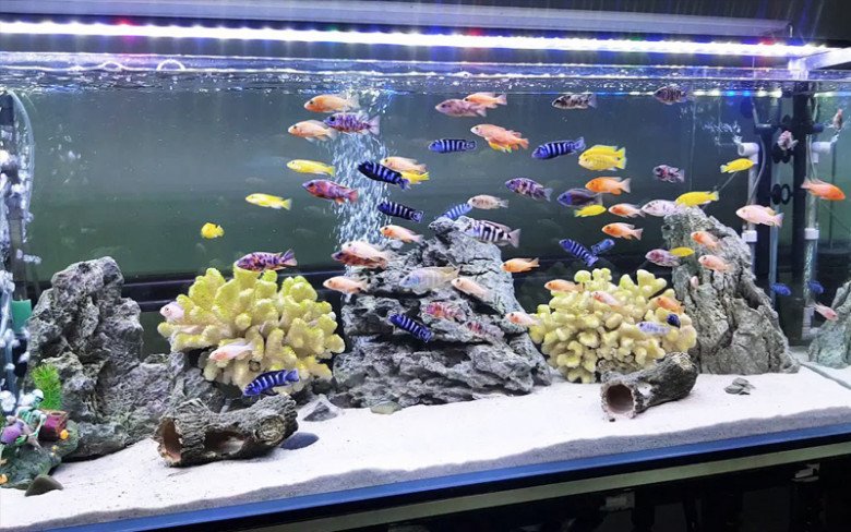 Dưới bàn thờ có 4 thứ này, chẳng trách gia chủ túng thiếu quanh năm, tiền vừa vào túi lại ra - Ảnh 3. Dưới bàn thờ có 4 thứ này, chẳng trách gia chủ túng thiếu quanh năm, tiền vừa vào túi lại ra - Ảnh 3.