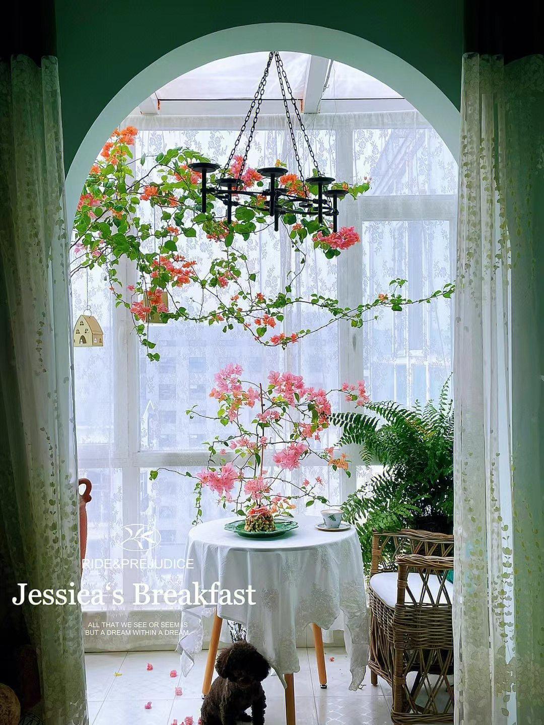 Nâng tầm cây cảnh quen thuộc thành cả "bầu trời" nghệ thuật, ai thấy cũng phải mê đắm - Ảnh 1.