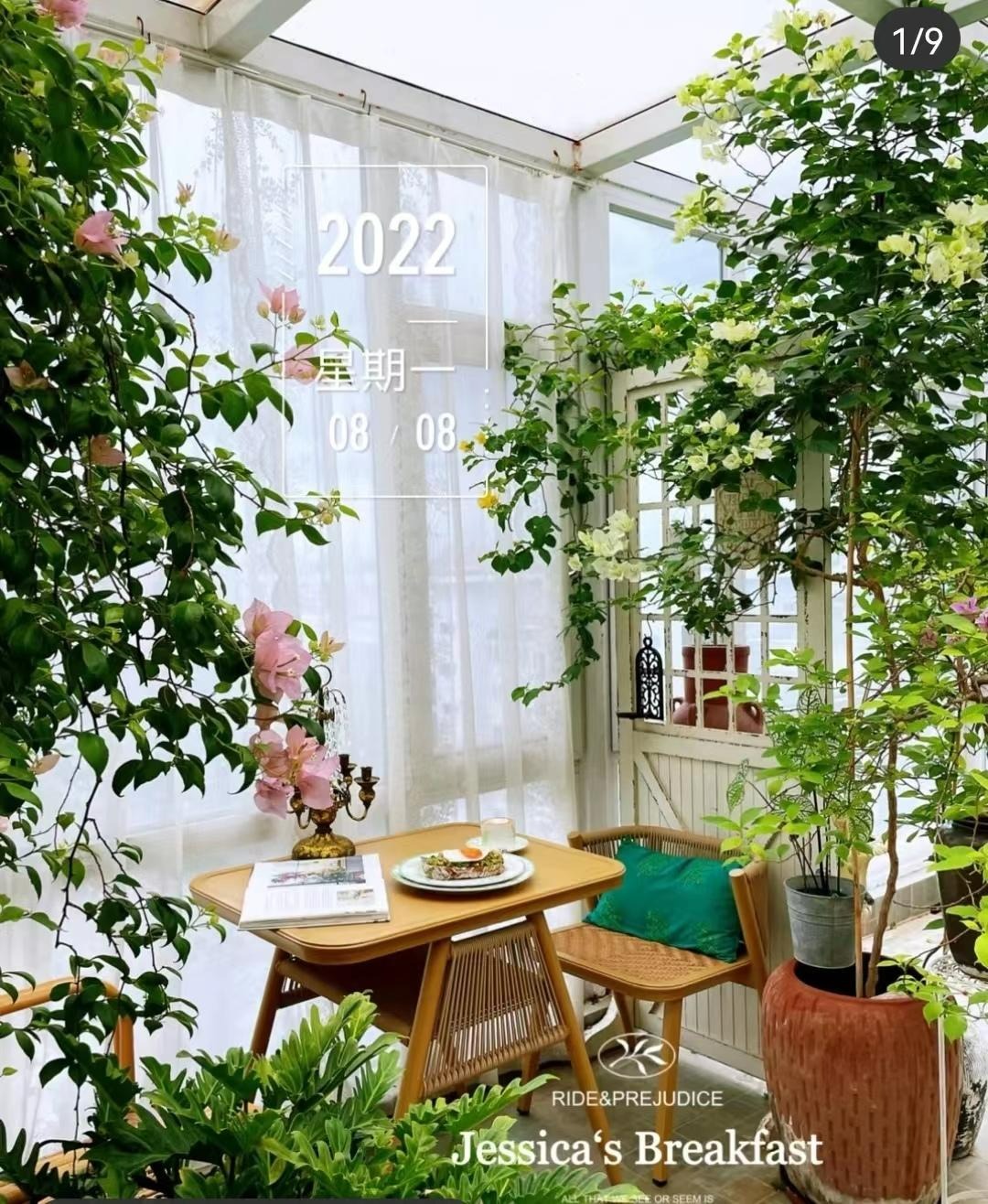 Nâng tầm cây cảnh quen thuộc thành cả "bầu trời" nghệ thuật, ai thấy cũng phải mê đắm - Ảnh 9.