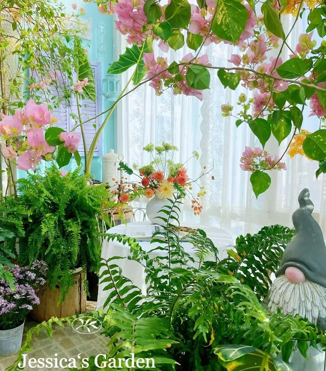 Nâng tầm cây cảnh quen thuộc thành cả "bầu trời" nghệ thuật, ai thấy cũng phải mê đắm - Ảnh 12.