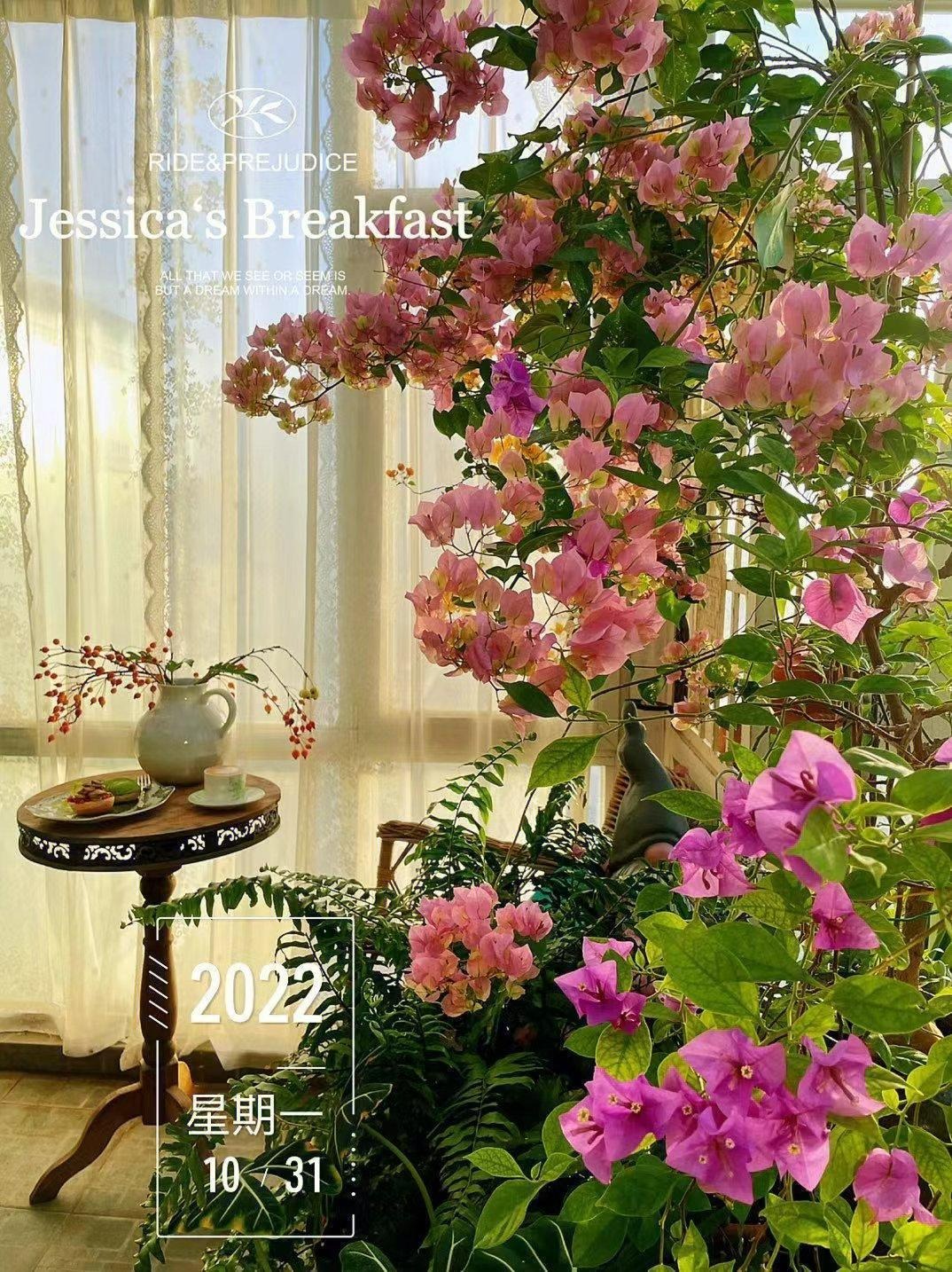 Nâng tầm cây cảnh quen thuộc thành cả "bầu trời" nghệ thuật, ai thấy cũng phải mê đắm - Ảnh 4.