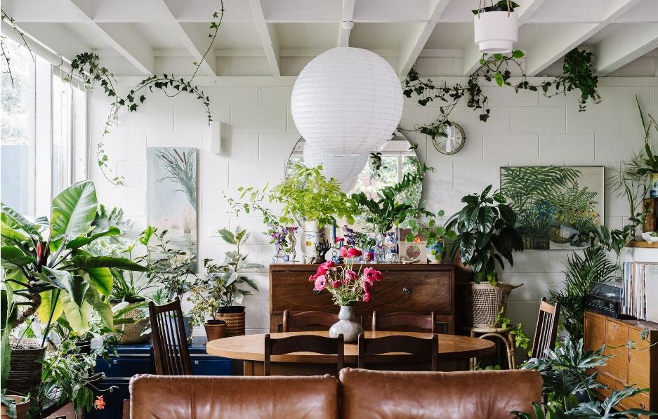 Nhà phố có 1.000 chậu cây cảnh sẽ thế nào? Cẩn thận kẻo "lạc" không ra được - Ảnh 7.