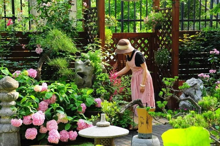 Nhà phố có 1.000 chậu cây cảnh sẽ thế nào? Cẩn thận kẻo "lạc" không ra được - Ảnh 1.