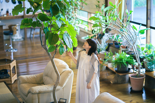 Người xưa dặn: "Trồng 4 cây cảnh quả đỏ rực trong nhà, con cháu đời đời phú quý" - Ảnh 1. Người xưa dặn: "Trồng 4 cây cảnh quả đỏ rực trong nhà, con cháu đời đời phú quý" - Ảnh 1.