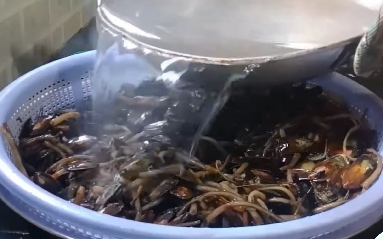 Con chân dài xấu lạ được ví như “thần dược đàn ông”, mua về xào chung với dứa bao nhiêu cũng thiếu - Ảnh 5.