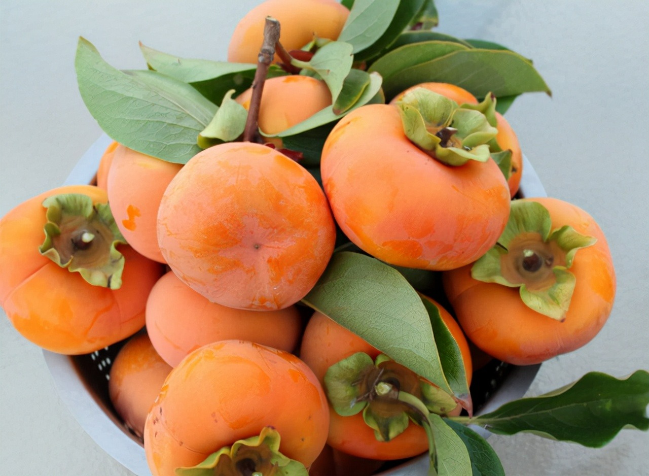 Người xưa nói: "1 quả hồng chứa 10 vị thuốc bổ", mùa thu ăn hồng quá đỉnh - Ảnh 3.