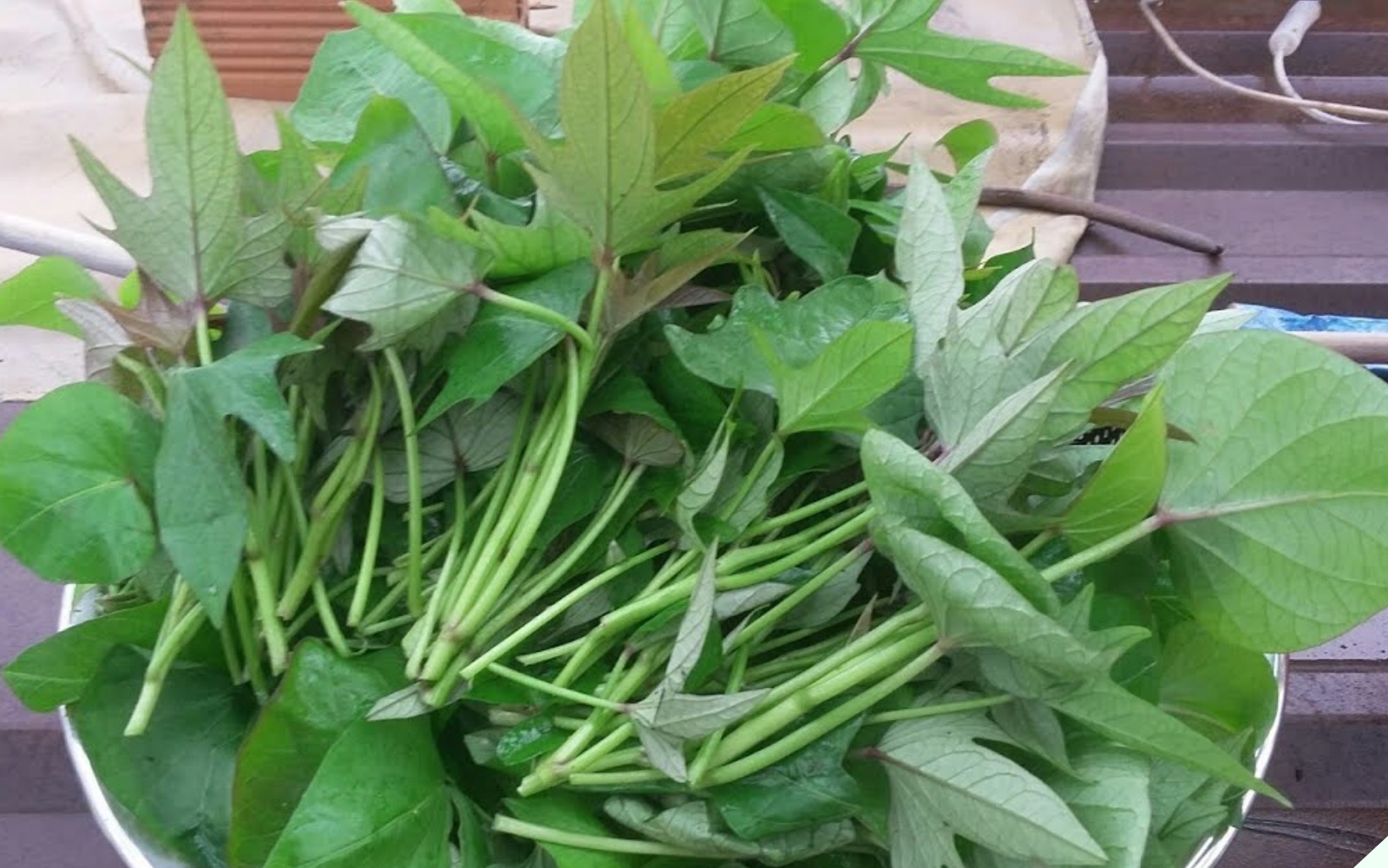 Loại rau xưa chỉ cho lợn hóa ra là rau “trường thọ”, nấu cùng nấm thành món canh đại bổ - Ảnh 1.