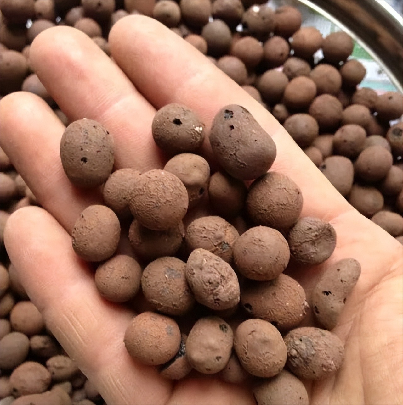 Những thứ vất đi này lại là "bảo bối" cho việc trồng cây cảnh, không mất tiền còn dễ kiếm - Ảnh 8.