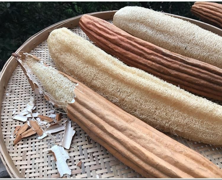 Những thứ vất đi này lại là "bảo bối" cho việc trồng cây cảnh, không mất tiền còn dễ kiếm - Ảnh 6.