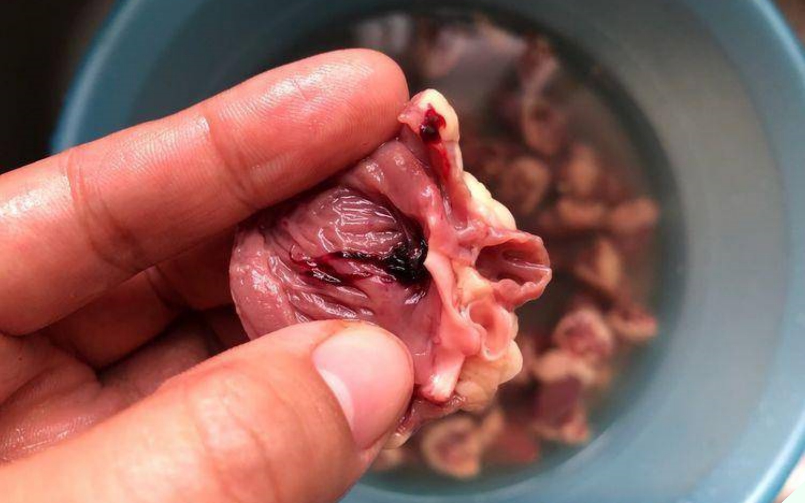 Một thứ của con gà được ví là “siêu thực phẩm”, mua về xào với quả dài dài vừa bổ tim vừa dưỡng mắt - Ảnh 6.