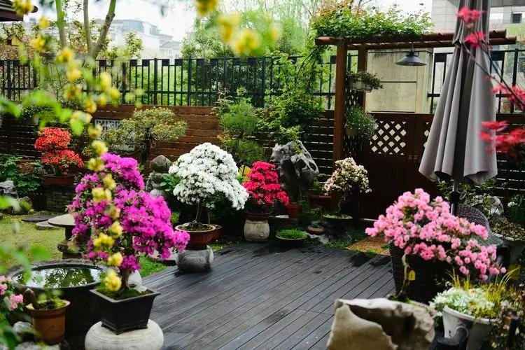 Ngất ngất ngây với khu vườn trong mơ rực rỡ sắc màu, lấp lánh ánh sáng - Ảnh 1. Ngất ngất ngây với khu vườn trong mơ rực rỡ sắc màu, lấp lánh ánh sáng - Ảnh 1.