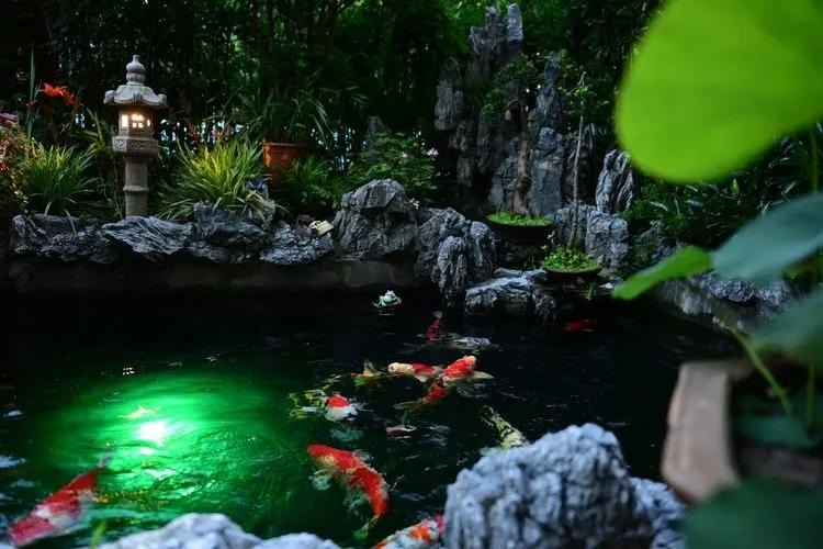 Ngất ngất ngây với khu vườn trong mơ rực rỡ sắc màu, lấp lánh ánh sáng - Ảnh 9. Ngất ngất ngây với khu vườn trong mơ rực rỡ sắc màu, lấp lánh ánh sáng - Ảnh 9.
