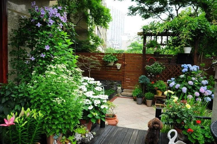 Ngất ngất ngây với khu vườn trong mơ rực rỡ sắc màu, lấp lánh ánh sáng - Ảnh 13. Ngất ngất ngây với khu vườn trong mơ rực rỡ sắc màu, lấp lánh ánh sáng - Ảnh 13.