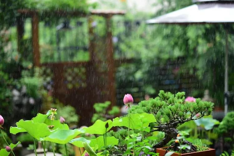 Ngất ngất ngây với khu vườn trong mơ rực rỡ sắc màu, lấp lánh ánh sáng - Ảnh 10. Ngất ngất ngây với khu vườn trong mơ rực rỡ sắc màu, lấp lánh ánh sáng - Ảnh 10.
