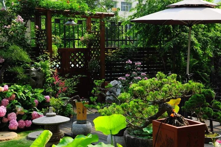 Ngất ngất ngây với khu vườn trong mơ rực rỡ sắc màu, lấp lánh ánh sáng - Ảnh 12. Ngất ngất ngây với khu vườn trong mơ rực rỡ sắc màu, lấp lánh ánh sáng - Ảnh 12.