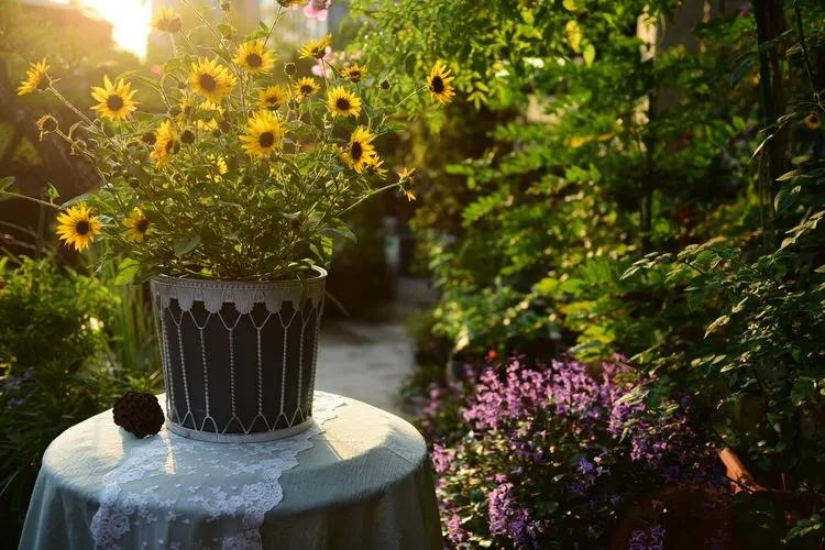 Ngất ngất ngây với khu vườn trong mơ rực rỡ sắc màu, lấp lánh ánh sáng - Ảnh 11. Ngất ngất ngây với khu vườn trong mơ rực rỡ sắc màu, lấp lánh ánh sáng - Ảnh 11.