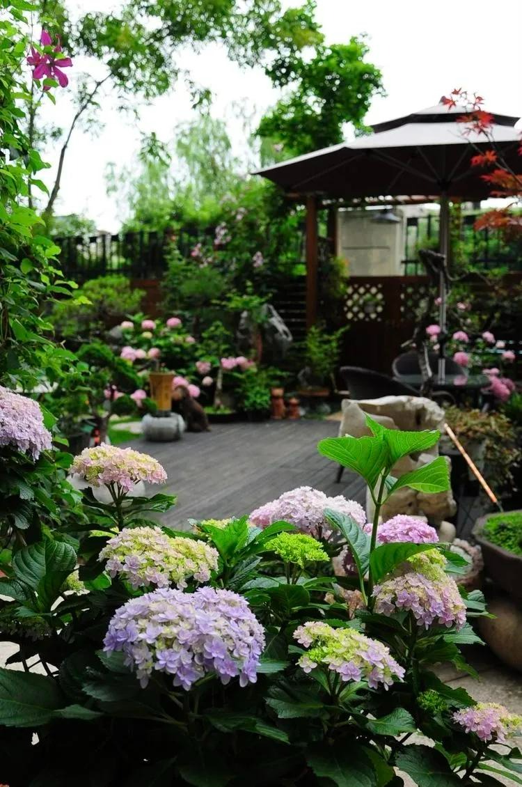 Ngất ngất ngây với khu vườn trong mơ rực rỡ sắc màu, lấp lánh ánh sáng - Ảnh 6. Ngất ngất ngây với khu vườn trong mơ rực rỡ sắc màu, lấp lánh ánh sáng - Ảnh 6.