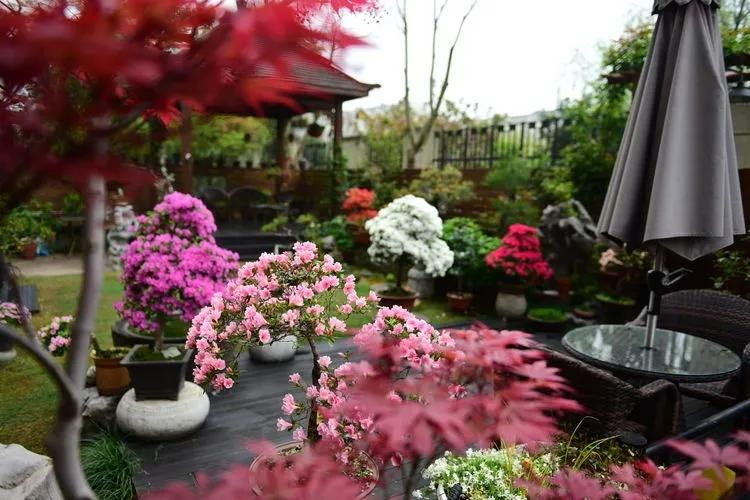 Ngất ngất ngây với khu vườn trong mơ rực rỡ sắc màu, lấp lánh ánh sáng - Ảnh 8. Ngất ngất ngây với khu vườn trong mơ rực rỡ sắc màu, lấp lánh ánh sáng - Ảnh 8.
