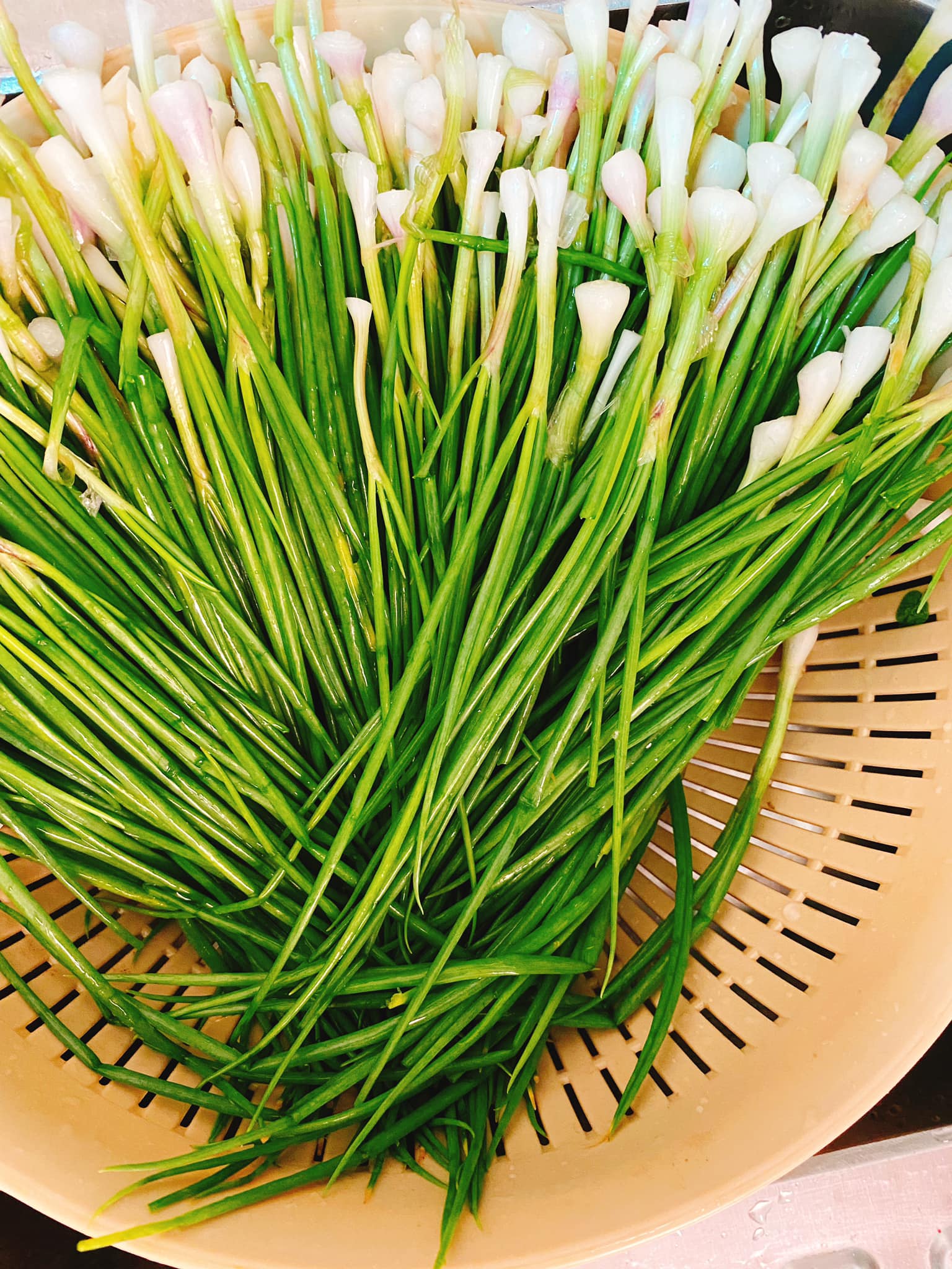 Mách bạn cách làm kim chi hành lá đẹp mắt, không hăng - Ảnh 3.