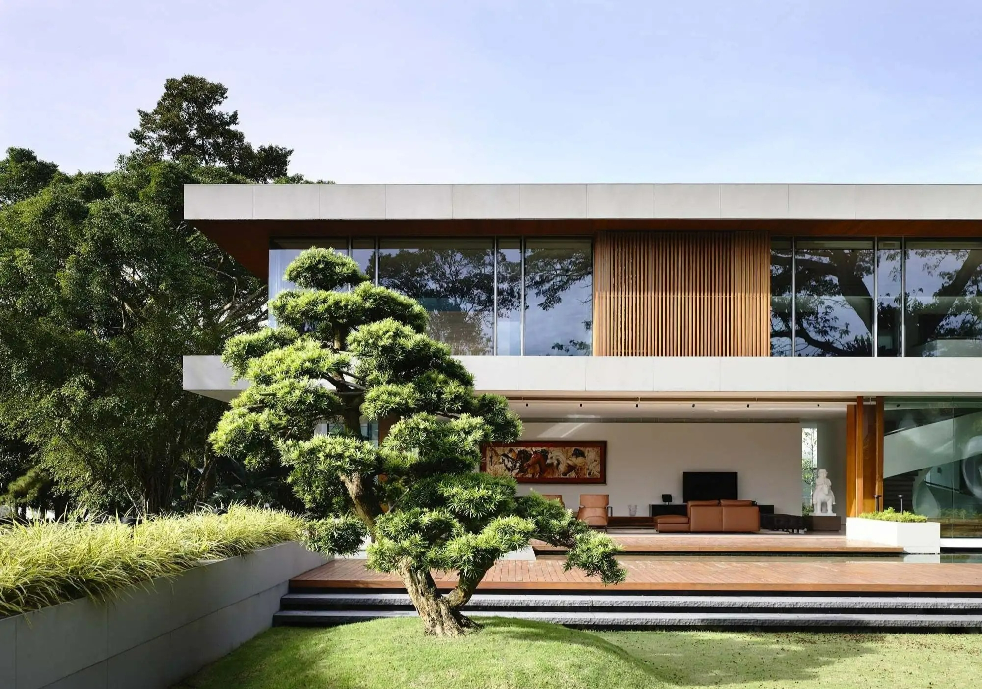 Người xưa nói: "Nghèo trồng cỏ, giàu trồng cây", 6 cây cảnh phòng khách giúp vượng khí, phát tài - Ảnh 8.