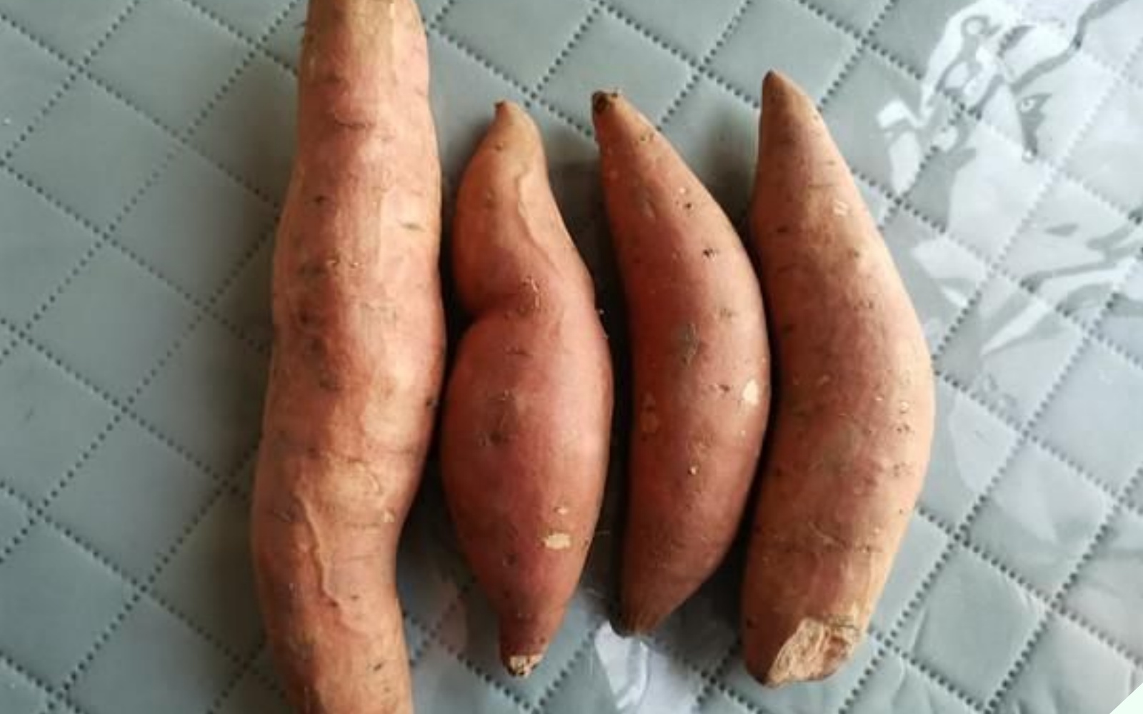 Loại củ trường thọ của người Nhật, nước ta có rất nhiều, bán la liệt ngoài chợ không biết mua ăn thì quá tiếc - Ảnh 3.