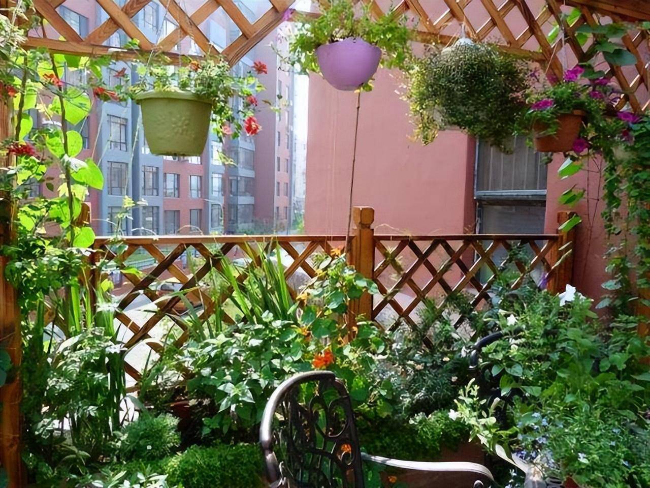 Cây cảnh trong nhà muốn xanh tốt bời bời cần chú ý điều này, bón phân không quá quan trọng đâu - Ảnh 1.