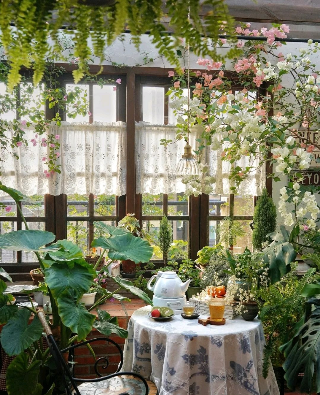 Cây cảnh trong nhà muốn xanh tốt bời bời cần chú ý điều này, bón phân không quá quan trọng đâu - Ảnh 8.