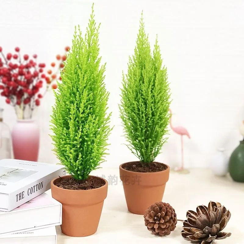 4 cây cảnh thơm ngát, đặt 1 chậu nhỏ ở phòng khách cả nhà ướp hương, hút tài, chiêu lộc rất tốt- Ảnh 6.