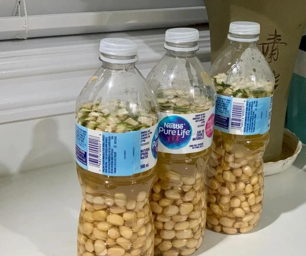 Mùa đông, trồng cây cảnh bị vàng lá, tưới ngày 2 loại nước "thần dược" này, lá xanh mướt, sáng bóng - Ảnh 3.