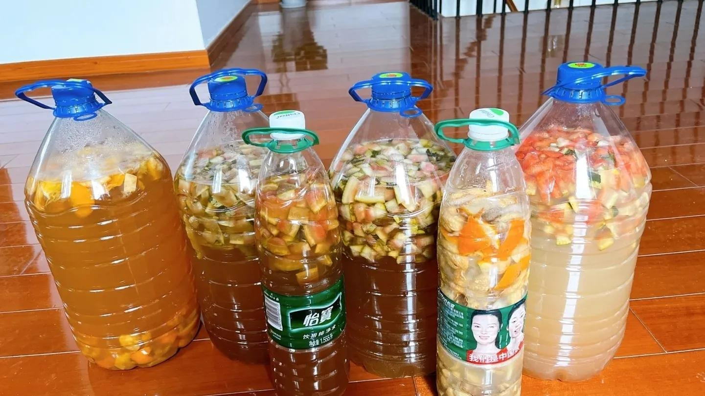 Mùa đông, trồng cây cảnh bị vàng lá, tưới ngày 2 loại nước "thần dược" này, lá xanh mướt, sáng bóng - Ảnh 7.