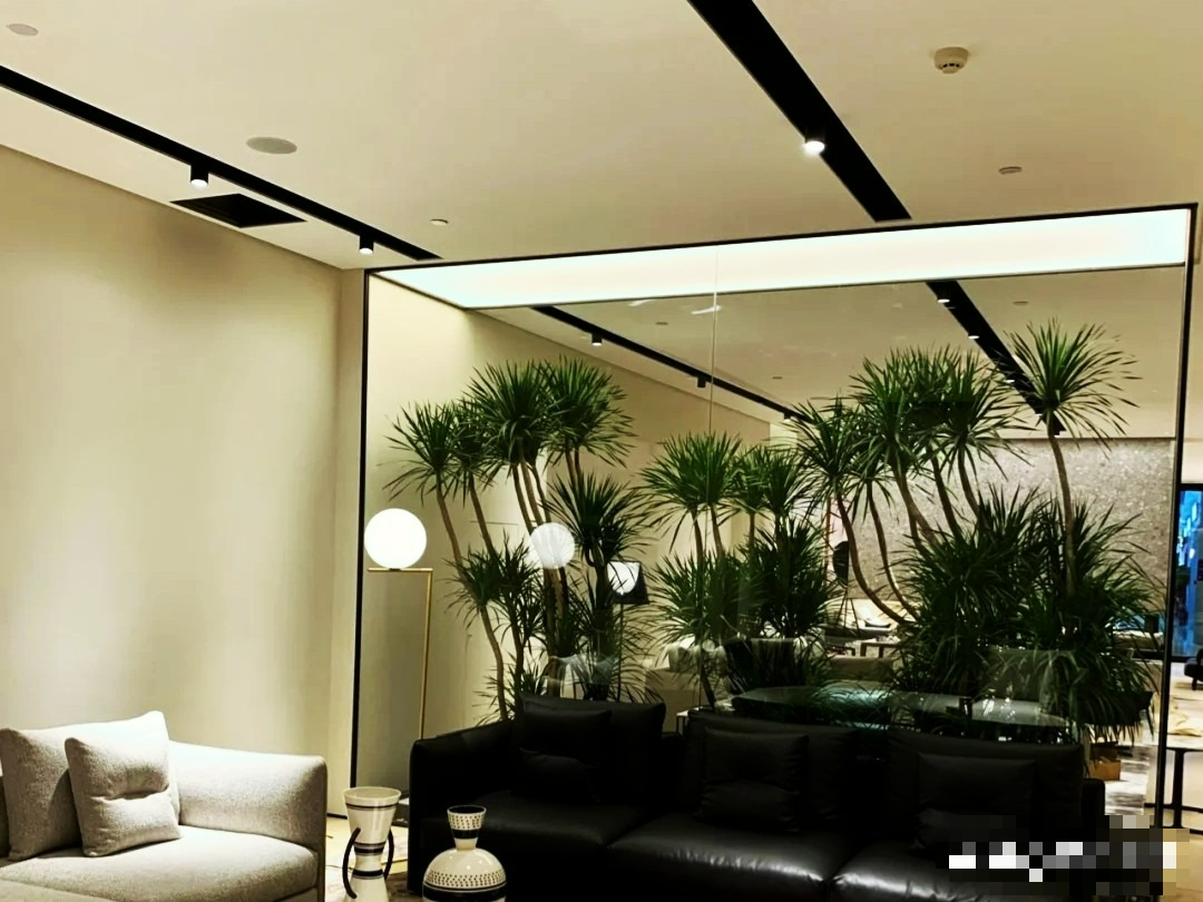 Năm hết Tết đến, trồng ngay cây cảnh "phát tài" để mang lộc lá vào nhà, truyền đời này qua đời khác - Ảnh 4.