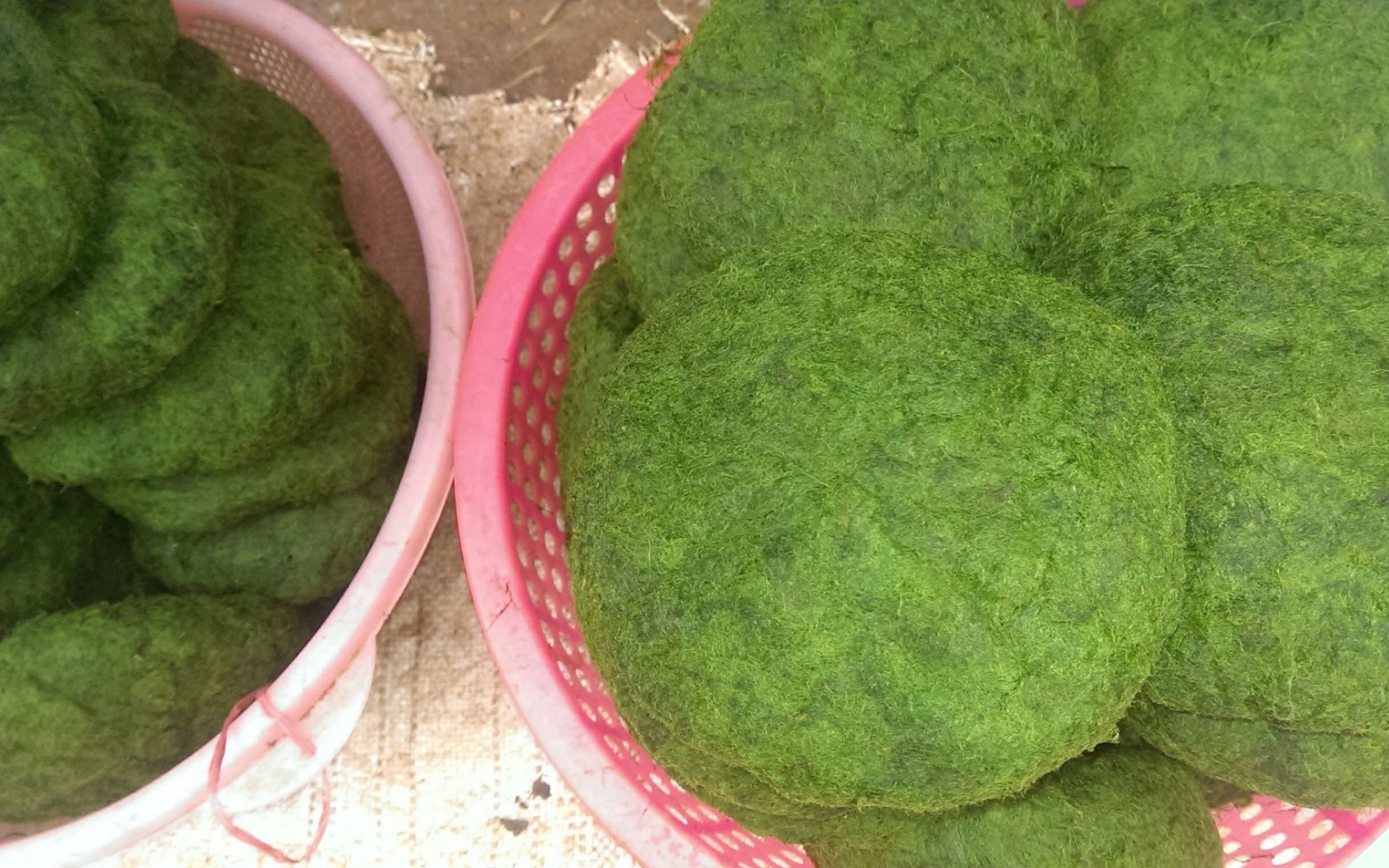Thứ nhớt nhớt mọc ở suối ai cũng chê bẩn đem nấu kiểu này được món thơm lừng, muốn ăn cũng chẳng có sẵn mà - Ảnh 5. Thứ nhớt nhớt mọc ở suối ai cũng chê bẩn đem nấu kiểu này được món thơm lừng, muốn ăn cũng chẳng có sẵn mà - Ảnh 5.