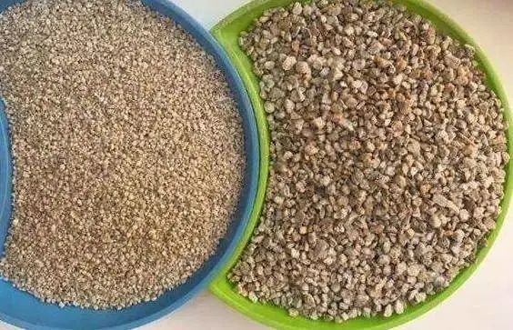 Thêm "vật lạ" vào chậu cây cảnh, đất không chai cứng, côn trùng không chui lên, lá xanh bóng - Ảnh 2. Thêm "vật lạ" vào chậu cây cảnh, đất không chai cứng, côn trùng không chui lên, lá xanh bóng - Ảnh 2.