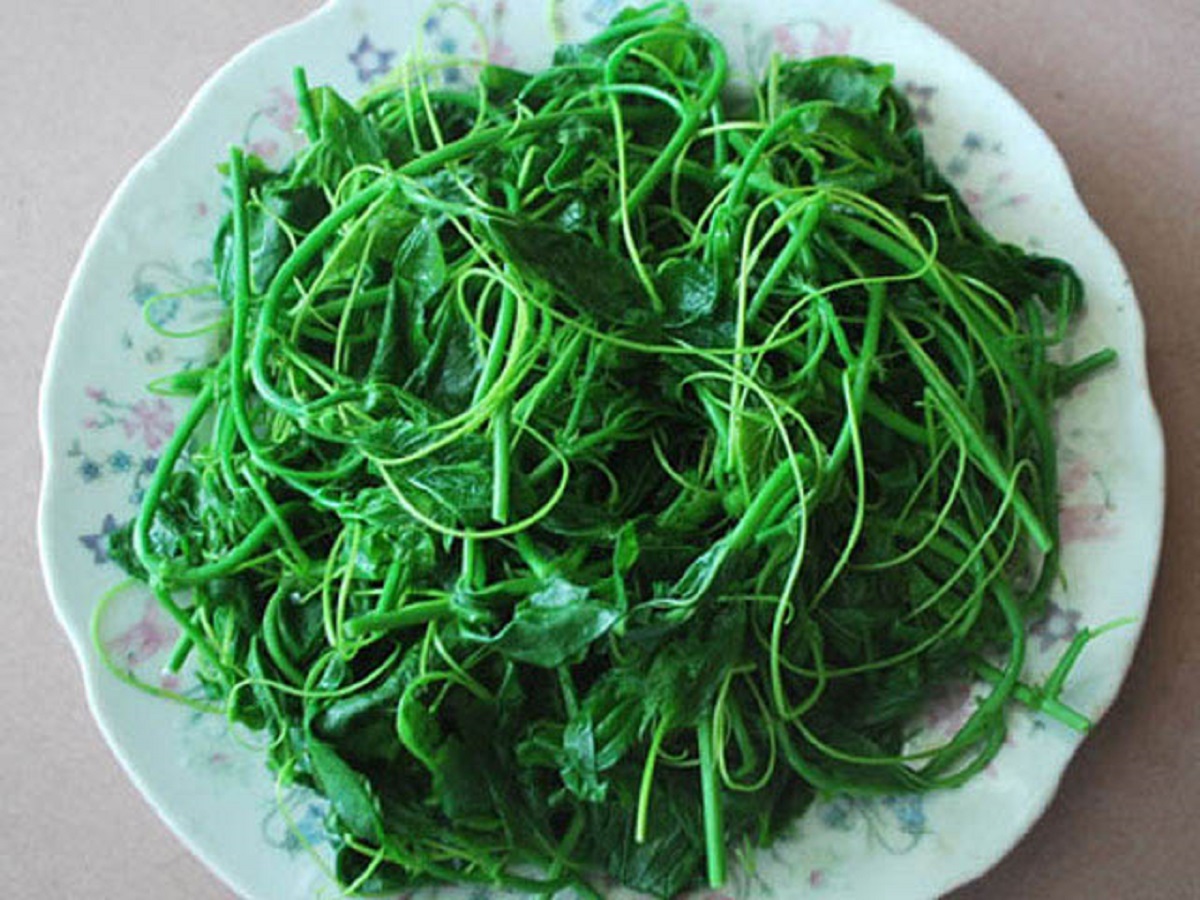 Loại rau kỳ lạ khi rửa tạo bọt như xà phòng nhưng ăn rất ngon, giúp an thần và ngủ ngon - Ảnh 8.