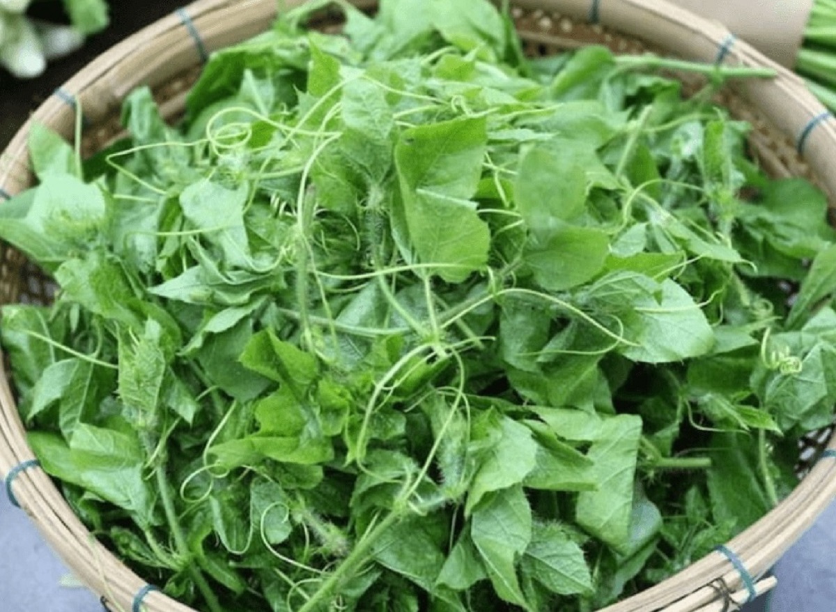 Loại rau kỳ lạ khi rửa tạo bọt như xà phòng nhưng ăn rất ngon, giúp an thần và ngủ ngon - Ảnh 7.