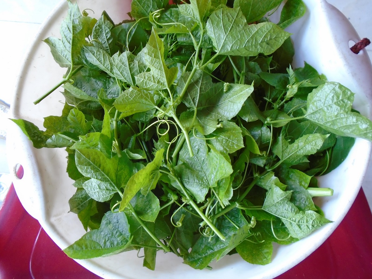 Loại rau kỳ lạ khi rửa tạo bọt như xà phòng nhưng ăn rất ngon, giúp an thần và ngủ ngon - Ảnh 5.