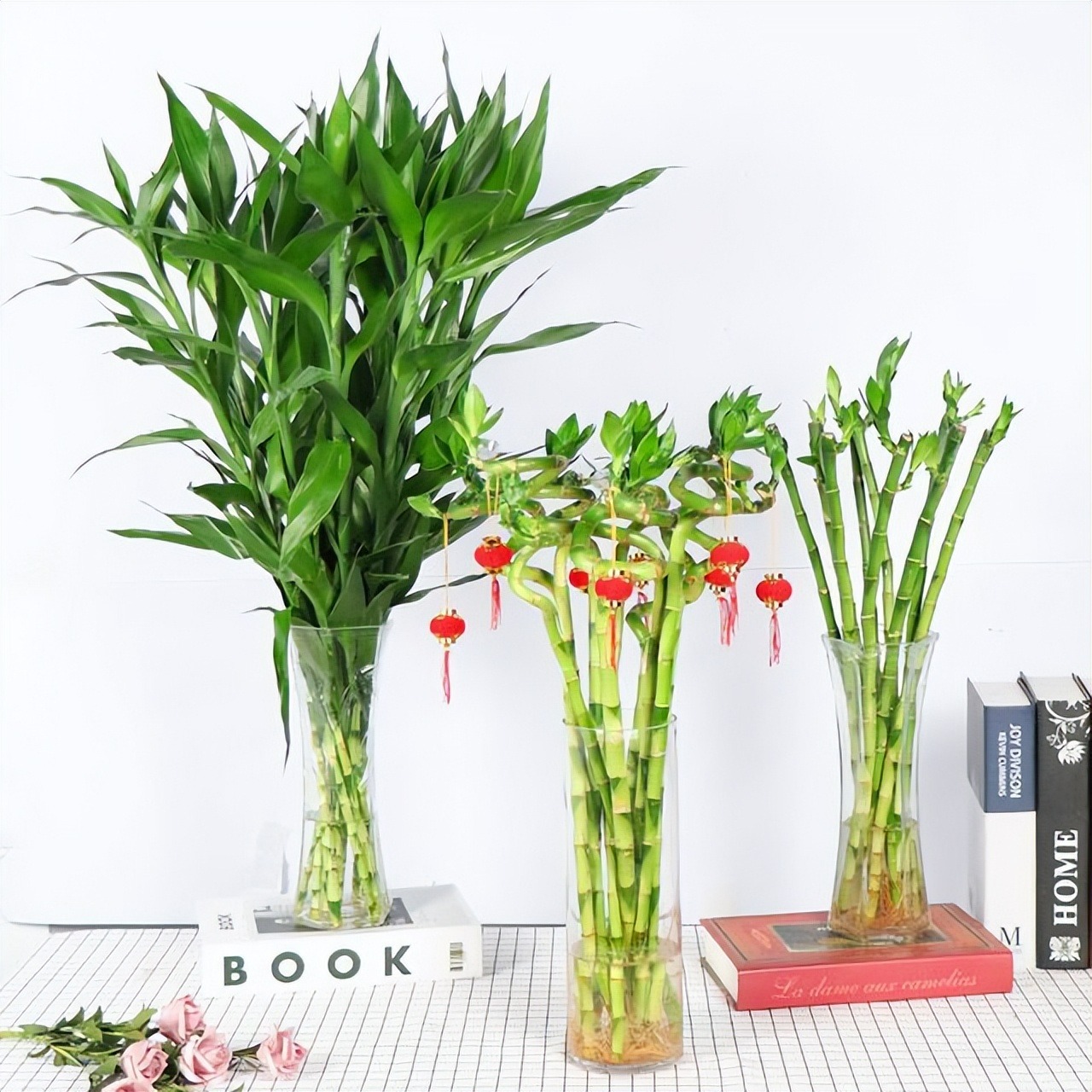 Tết Nguyên đán sắp đến, trồng cây cảnh phát tài phát lộc bao nhiêu cành thì tốt lành, thịnh vượng đầy nhà?  - Ảnh 1.