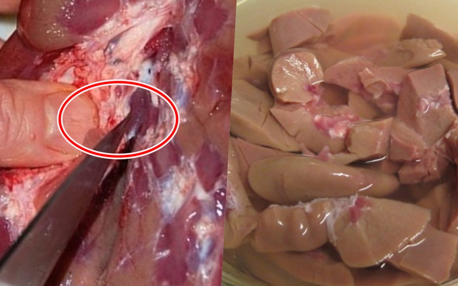 Cả con lợn chỉ có 4 lạng, mua về xào cho chồng ăn cực bổ thận, hải sâm cũng không tốt bằng - Ảnh 5.