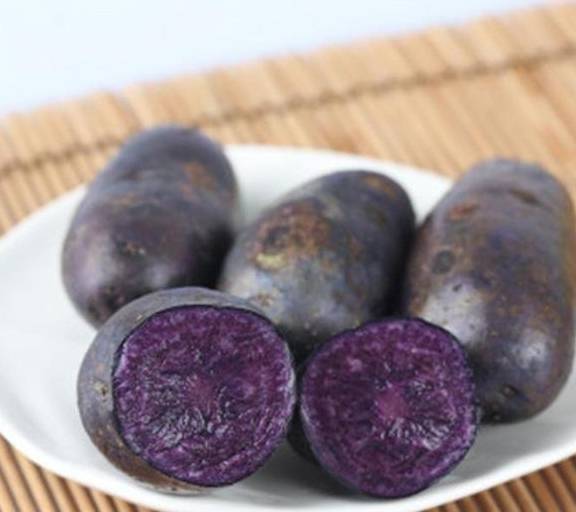 Loại củ quen thuộc có dinh dưỡng tương đương 20 quả táo, 50 quả cà chua - Ảnh 1. Loại củ quen thuộc có dinh dưỡng tương đương 20 quả táo, 50 quả cà chua - Ảnh 1.