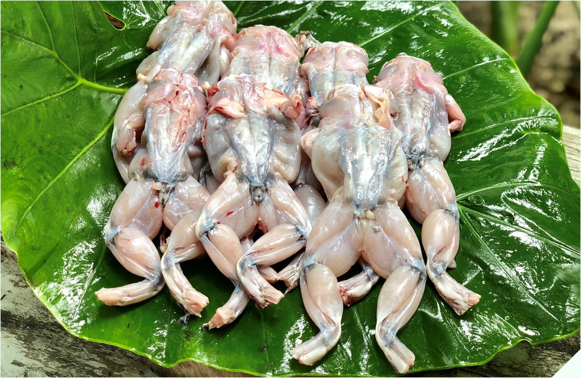 Đi chợ gặp loại thịt được ví như “vị thuốc mùa đông” mua về nấu cùng quả dài ngoằng thành món cay cay, lớn nhỏ - Ảnh 2.